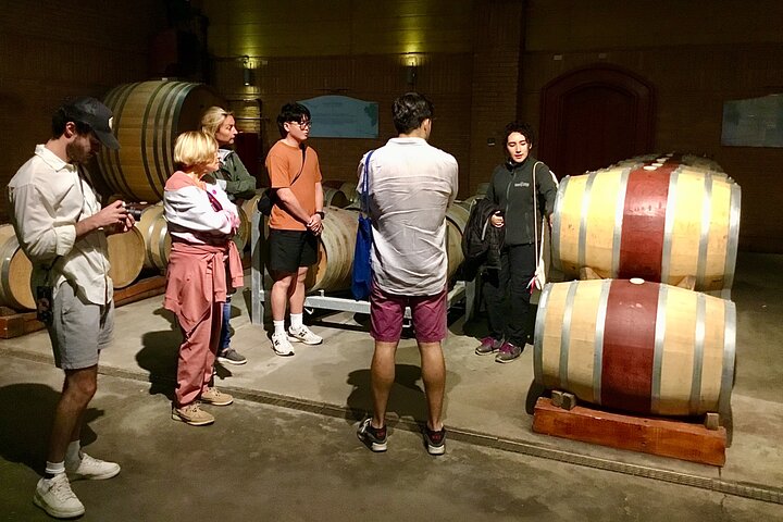 Taste 10 Types of Wine in 3 exclusive Casablanca’s Vineyard