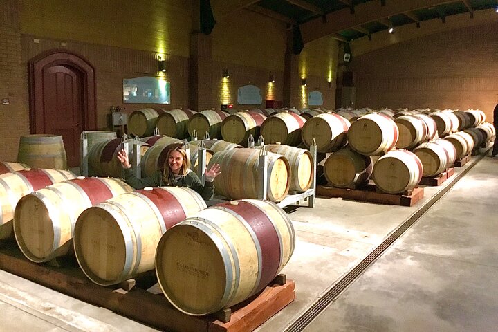 Taste 10 Types of Wine in 3 exclusive Casablanca’s Vineyard