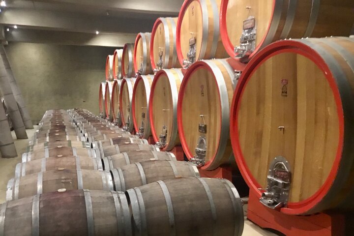 Taste 10 Types of Wine in 3 exclusive Casablanca’s Vineyard