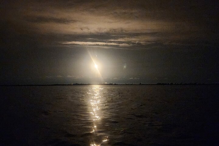 Magic After Dark Bioluminescence Kayak Tour Orlando