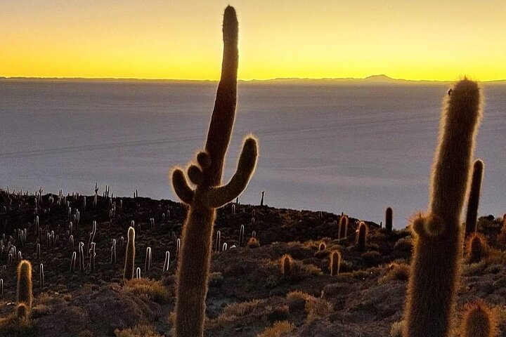 3 Days Tour Uyuni Salt Flats, Sunset plus Funny Photos
