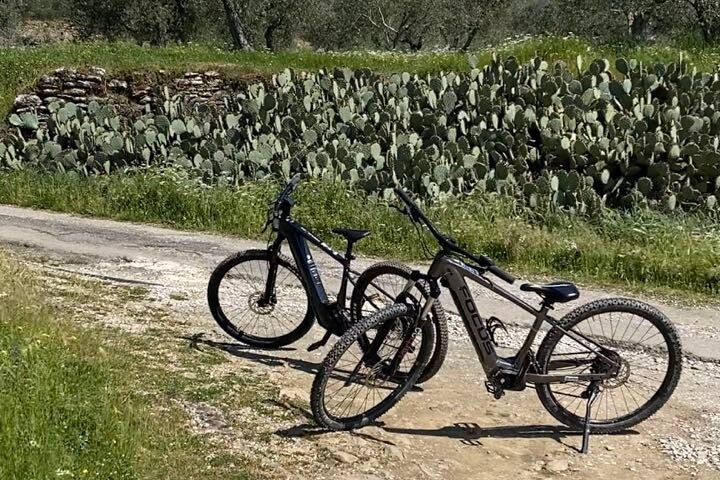 Half Day Tour by Ebike Around Cortona