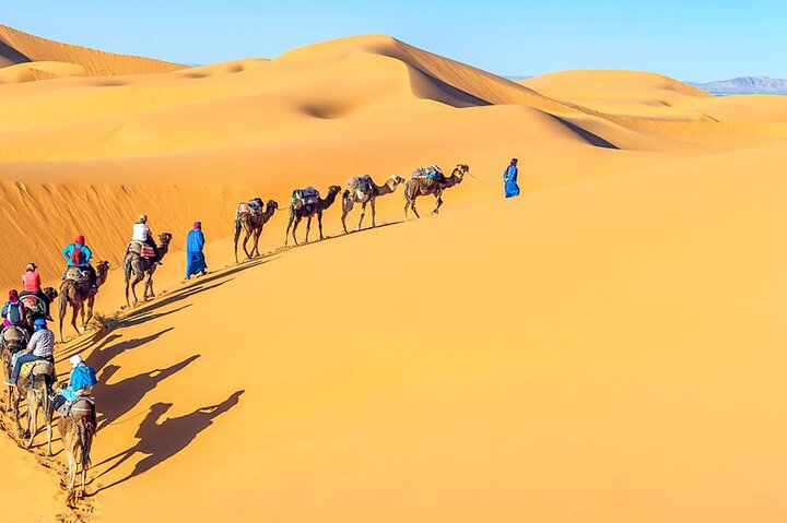 All Inclusive Tour Port Said to Pyramids & Gem