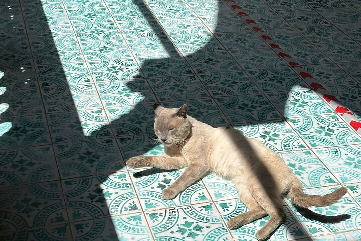 Algiers Casbah Tour