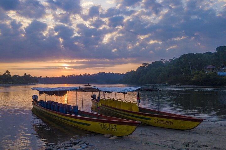 3-Day Jungle Adventure from / to Tena - Napo Amazon Region