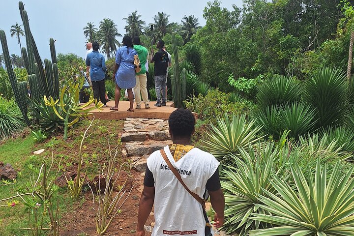 3-Day Tour in the Heart of Benin - Check-out Lomé or Cotonou