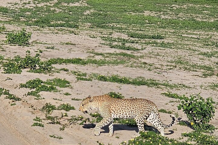 Full Day Tour to Chobe National Park and Botswana