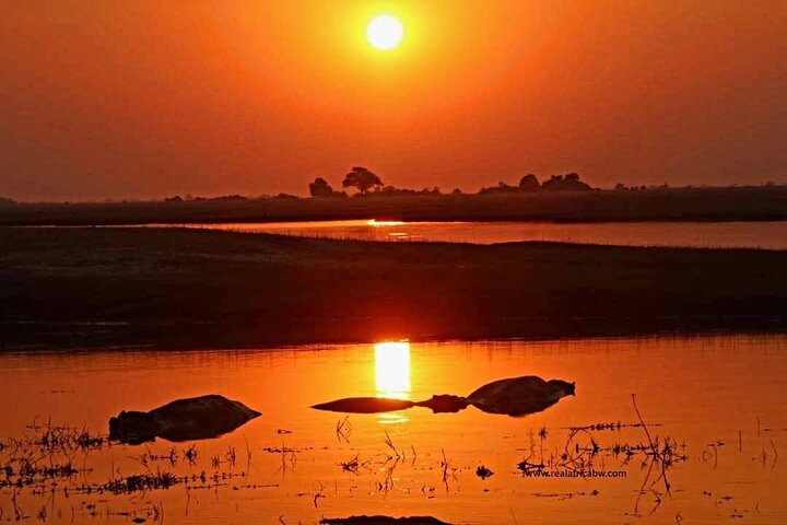 Full Day Tour to Chobe National Park and Botswana