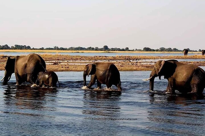 Full Day Tour to Chobe National Park and Botswana