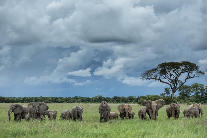 Full Day Tour to Chobe National Park and Botswana