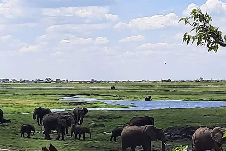 Full Day Tour to Chobe National Park and Botswana