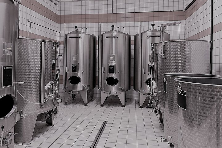 Champagne Munoz Bruneau : Half Day Visit and Tasting
