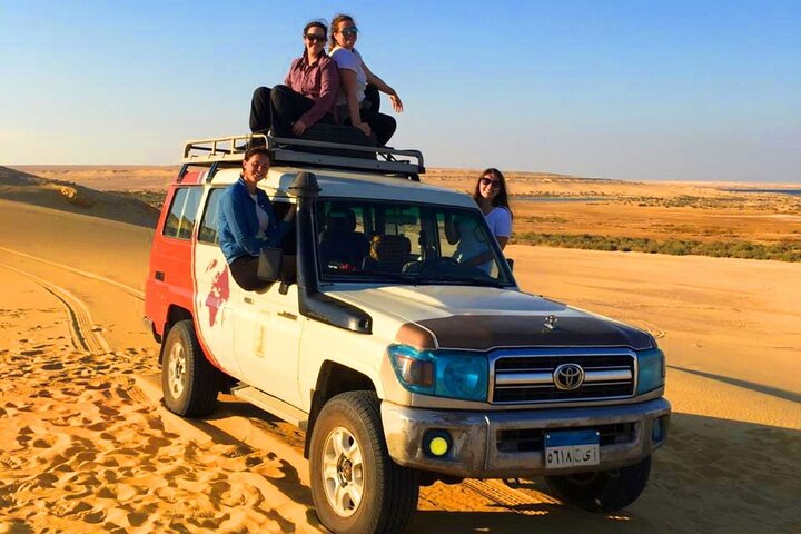 Private Tour to Fayoum Whales Valley & Wadi El Rayan from Cairo
