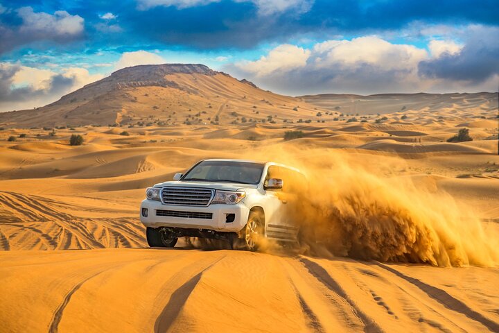 Private Tour to Fayoum Whales Valley & Wadi El Rayan from Cairo