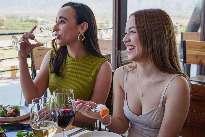 Tour Wine Route Guadalupe Valley & Port New Lobster