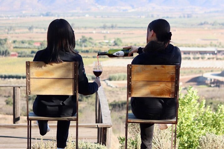 Tour Wine Route Guadalupe Valley & Port New Lobster
