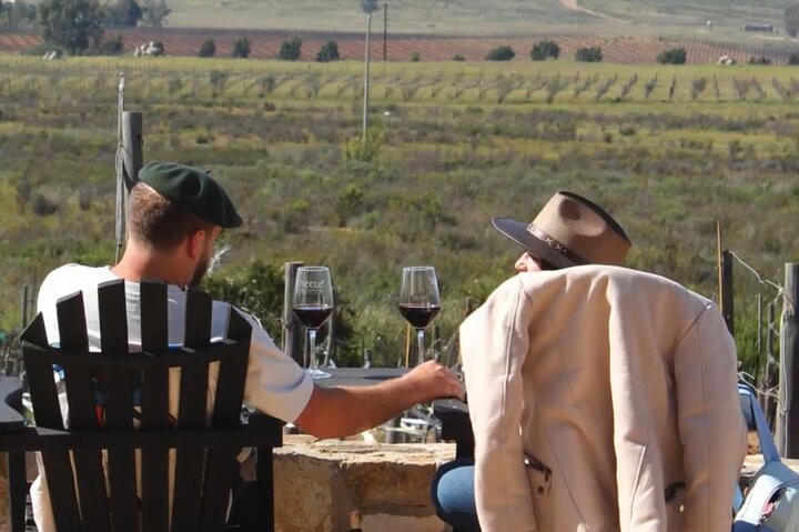 Tour Wine Route Guadalupe Valley & Port New Lobster