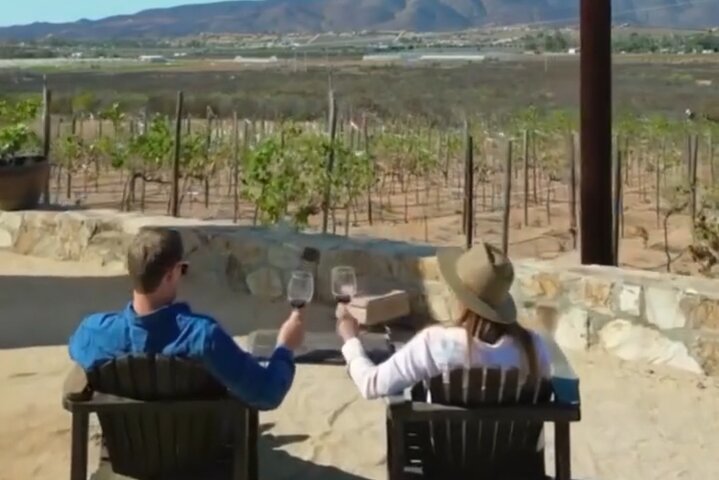Tour Wine Route Guadalupe Valley & Port New Lobster