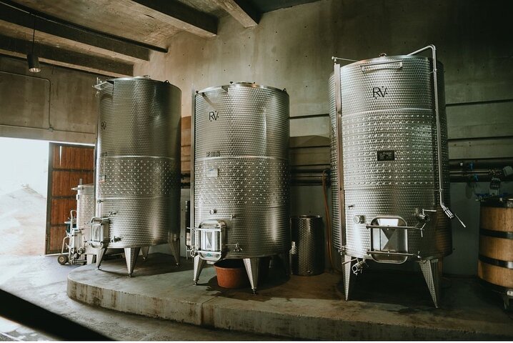 Tour Wine Route Guadalupe Valley & Port New Lobster