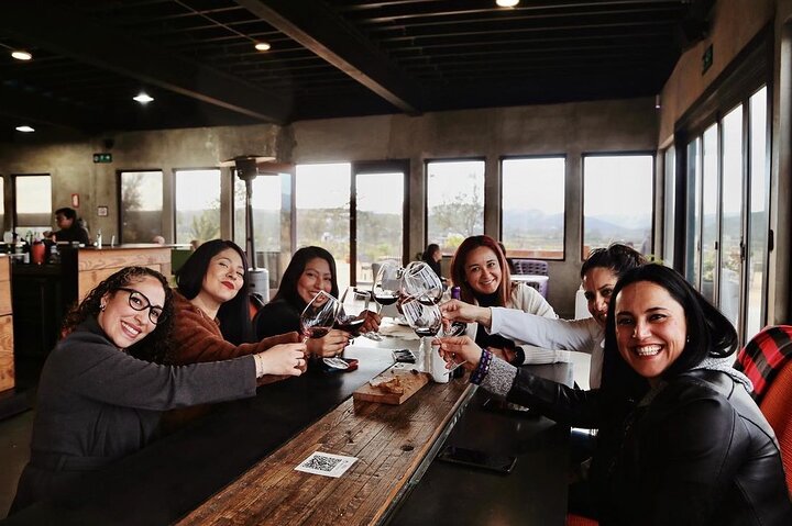 Tour Wine Route Guadalupe Valley & Port New Lobster