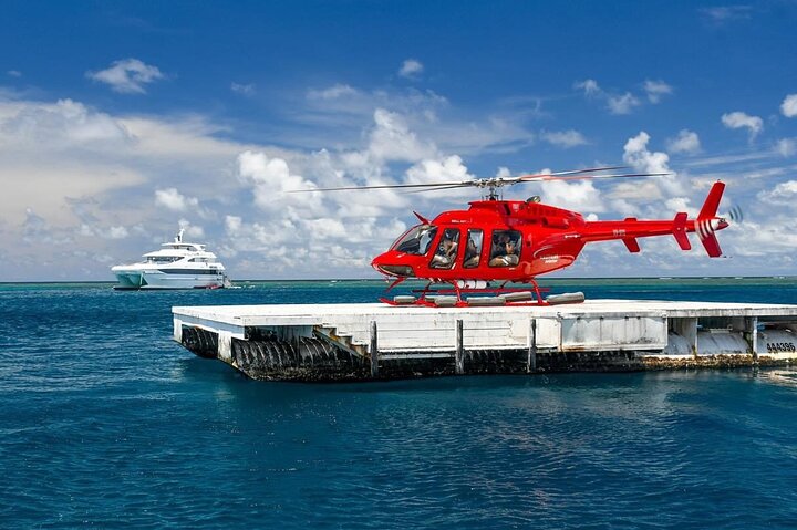 Great Barrier Reef Snorkeling and Diving Cruise from Cairns