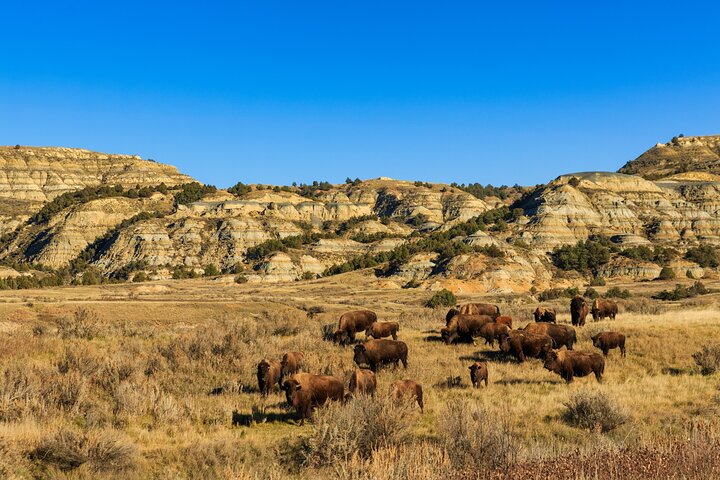 Theodore Roosevelt National Park Self-Guided Driving Audio Tour