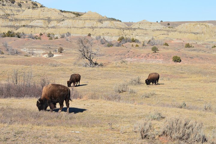 Theodore Roosevelt National Park Self-Guided Driving Audio Tour