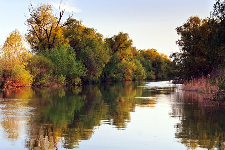 Tigre Delta Small-Group Tour from Buenos Aires