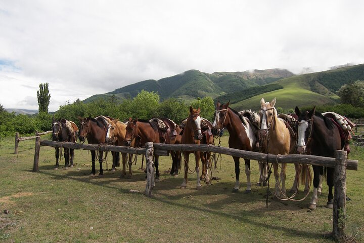 Discover Tafi del Valle: Guided Journey