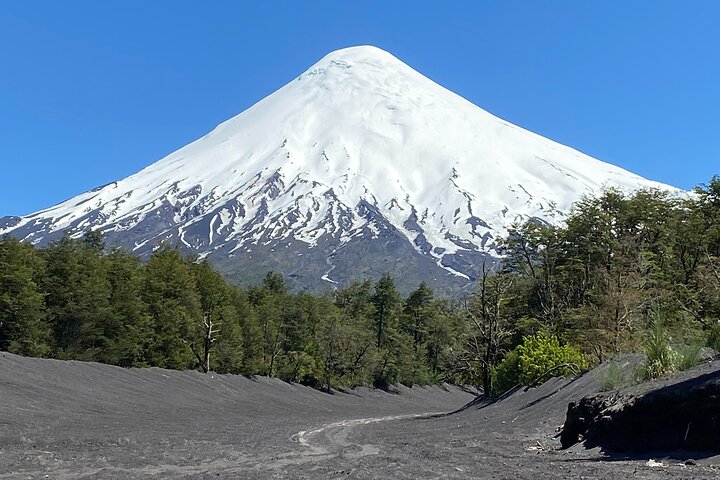 Cruise Shore Private Excursion Osorno Volcano & Petrohué Falls