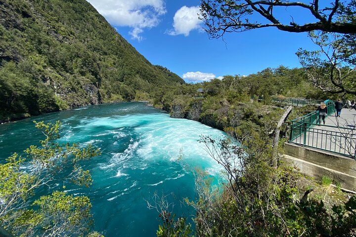 Cruise Shore Private Excursion Osorno Volcano & Petrohué Falls