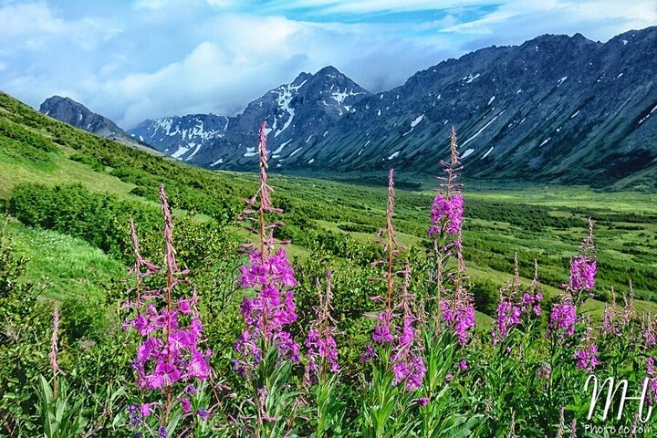 Whittier to Anchorage Half Day Transit Tour From the Port