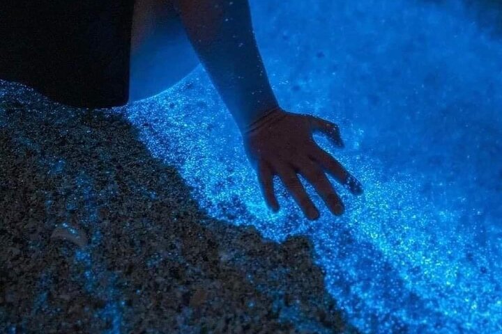 Bioluminescence Tour in Punta Cocos Holbox