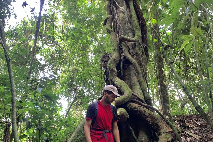 Chachapoyas: Yumbilla Waterfalls Tour