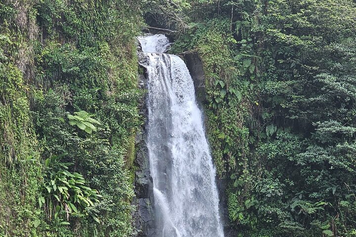 Relax in Hot Springs and swim in Titou Gorge and Trafalgar Falls