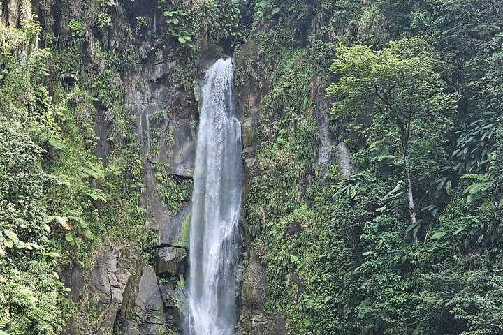 Relax in Hot Springs and swim in Titou Gorge and Trafalgar Falls