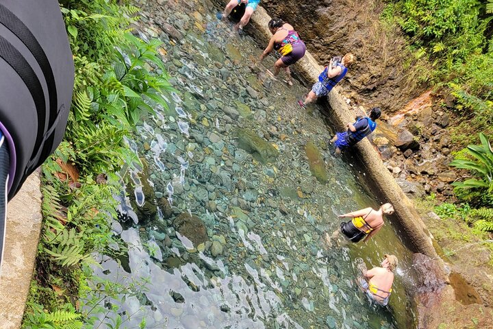 Relax in Hot Springs and swim in Titou Gorge and Trafalgar Falls