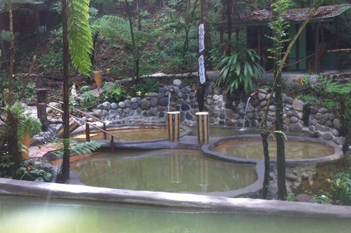 Relax in Hot Springs and swim in Titou Gorge and Trafalgar Falls