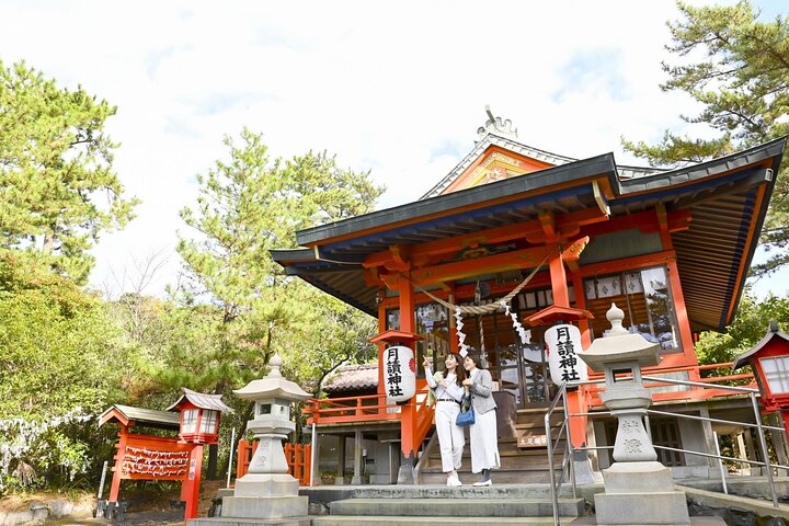 Discover the Wonders of Sakurajima Half Day Tour in Kagoshima