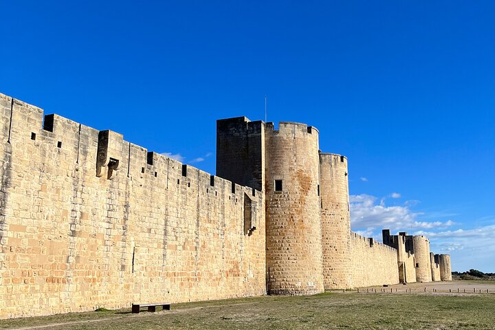 Small group half day Camargue and Aigues Mortes tour