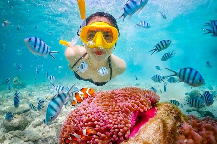 Bali Blue Lagoon Snorkeling with Lunch & Private Hotel Transfer