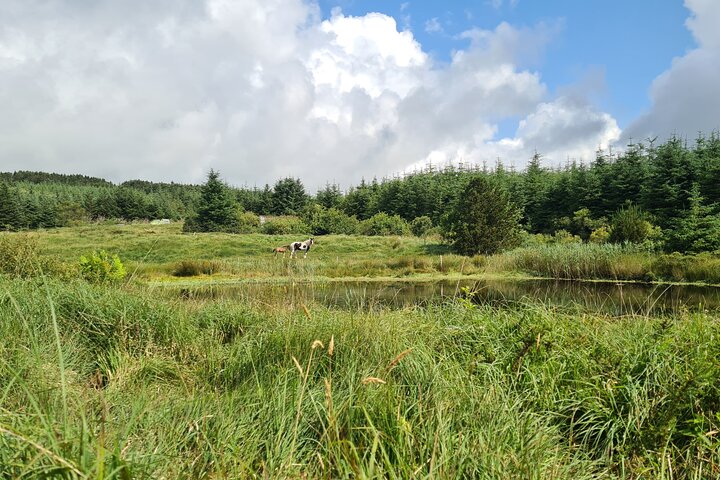 Private Thinking Trails at West Cork