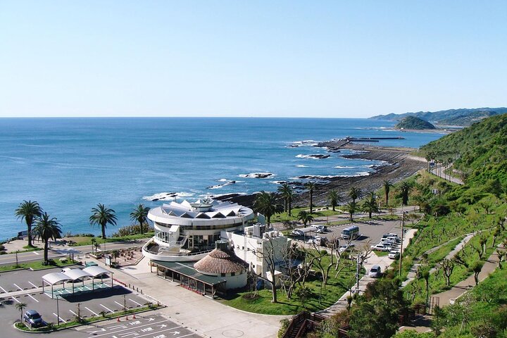 From Aburatsu Port: 1 Day Private Tour to Miyazaki Nichinan
