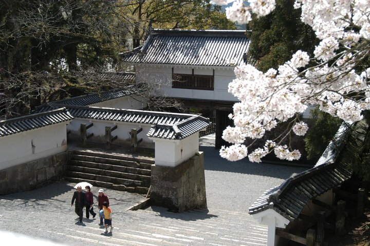 From Aburatsu Port: 1 Day Private Tour to Miyazaki Nichinan