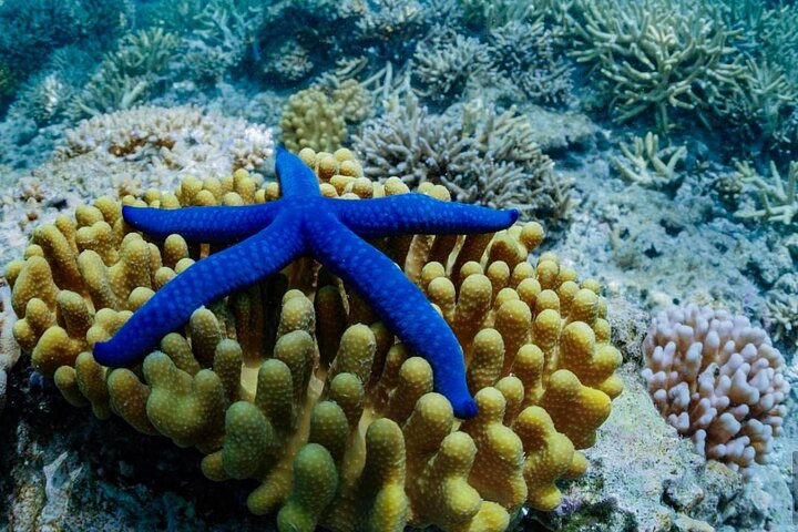 A Turtle Tour on Rarotonga - small groups, premium experience