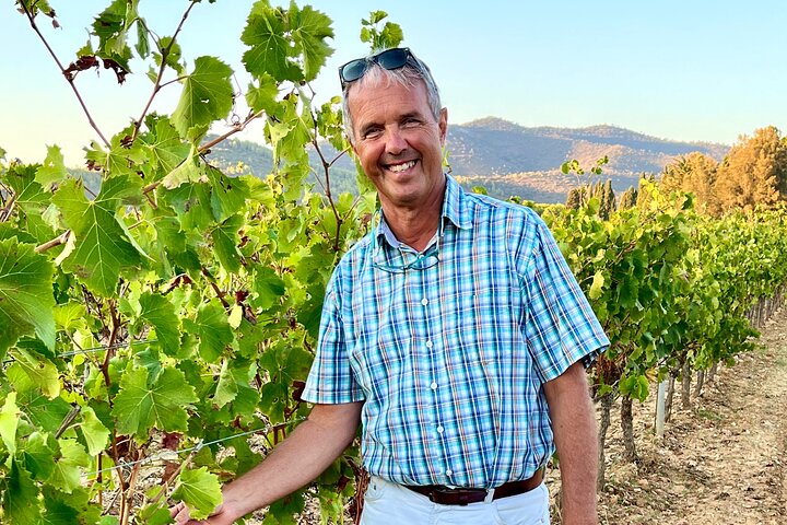Private Full Day Wine Tour in Provence from Toulon Cruise Port
