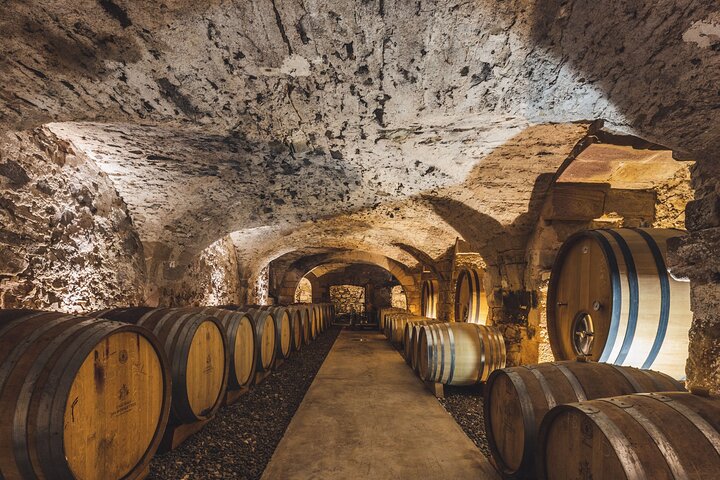Private Full Day Wine Tour in Provence from Toulon Cruise Port