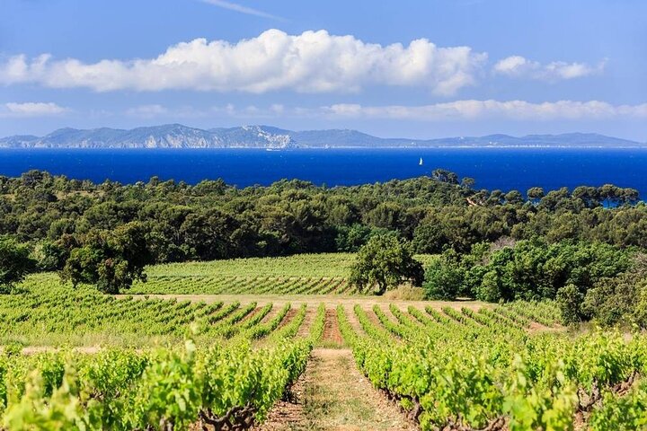Private Full Day Wine Tour in Provence from Toulon Cruise Port