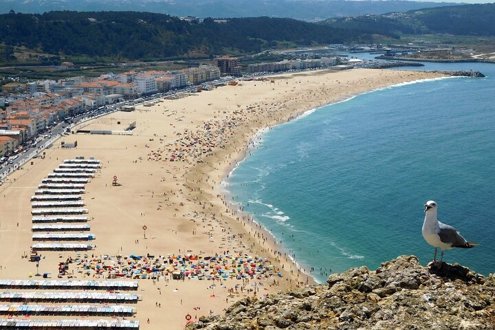 Transfers from/to Lisbon Airport to: Fátima / Nazaré / Alcobaça..