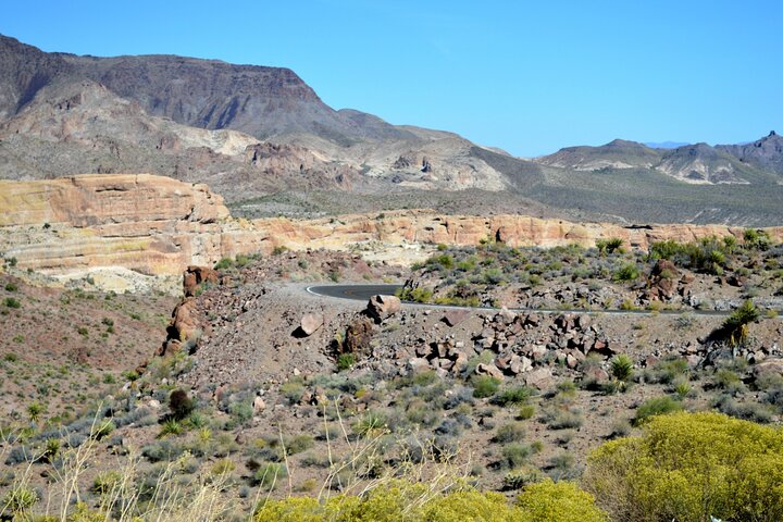 Oatman Mining Camp & Burros: Historic Route 66 Tour from Laughlin
